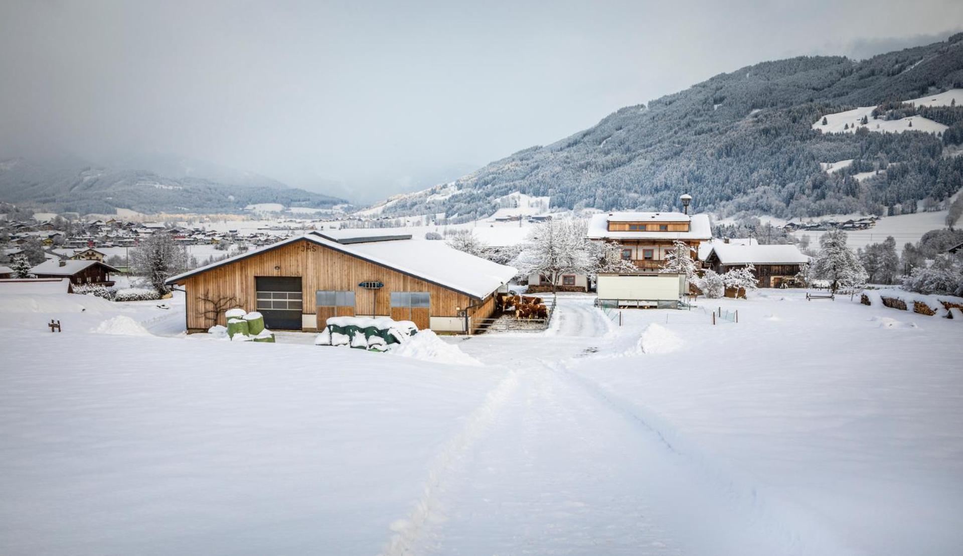 Ferienwohnung Hansenbauer Saalfelden ภายนอก รูปภาพ